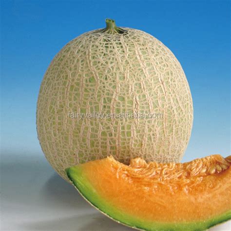 F1 Musk Melon Seeds For Planting Red Pearl