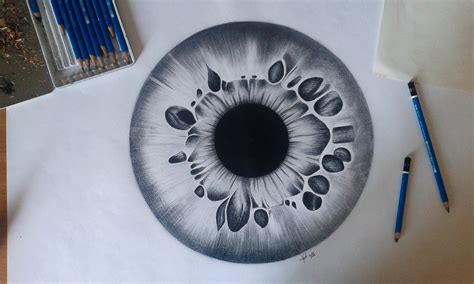 Eye Iris Drawing at PaintingValley.com | Explore collection of Eye Iris ...