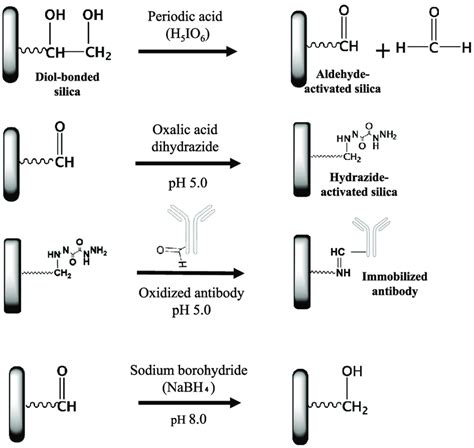 Site Selective Immobilization Scheme For Coupling To Immobilize The