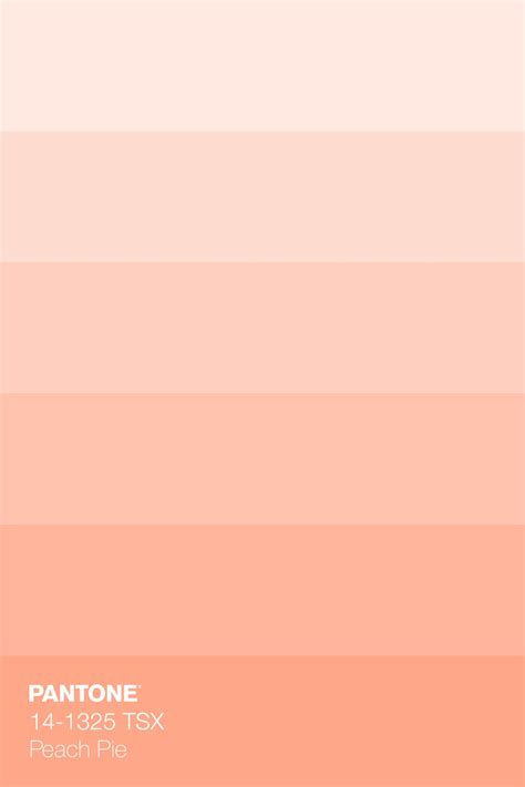 Flower Color Palette Peach Paint Colors Peach Color Palettes Peach