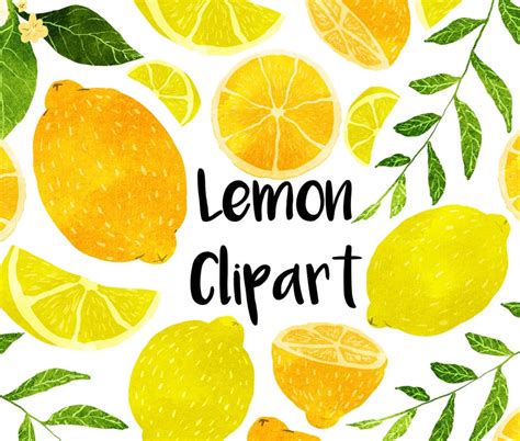 Lemon Watercolor Clipart Instant Download Lemon Clip Art Fruit Spring Time Etsy