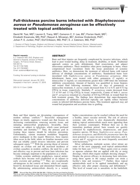 (PDF) Full-Thickness Porcine Burns Infected with Staphylococcus aureus or Pseudomonas Aeruginosa ...