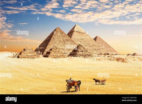 The Great Pyramids of Egypt and traditional desert carriages, Cairo ...