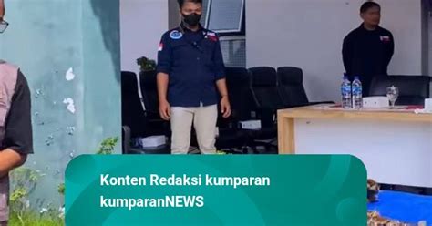 Pria Ini Ditangkap Karena Jual Kulit Harimau Sumatera Diancam