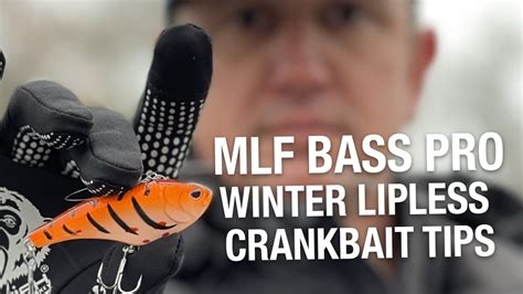 How To Catch Winter Bass With Lipless Crankbaits Mlf Bass Pro Tips