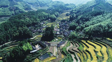 每日一景｜南平浦城枫溪乡：大山深处池家村 浦城风采 浦城新闻网