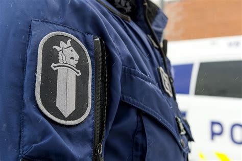 Hoitolasta Anastettiin Kaksi Savanni Kissaa Jotka Poliisi Takavarikoi