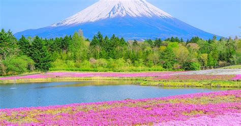 Vanuit Tokio Mt Fuji 5e Oshino Hakkai Onsen Hele Dagtrip GetYourGuide