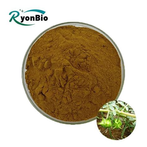 China Cheap Tribulus Extract Powder Manufacturers Suppliers Factory