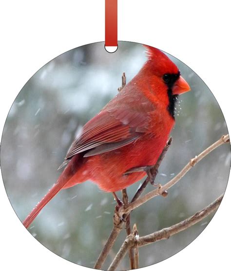 Ornament Cardinal Red Cardinal Bird In The Snow Round Shaped Flat