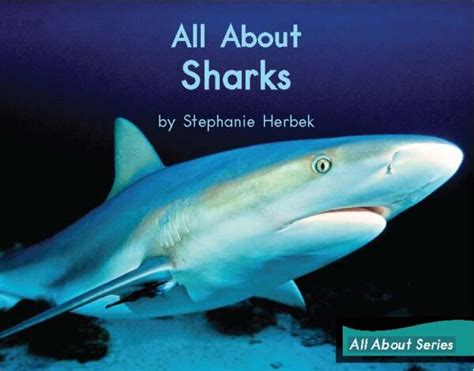 Truyện All About Sharks All About Series By Stephanie Herbek Sách