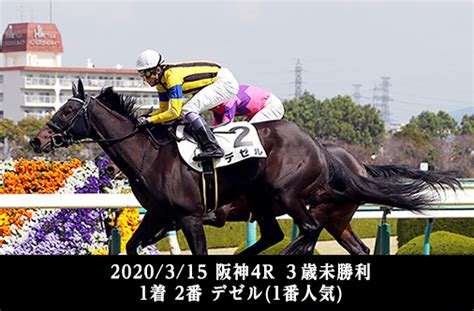 第1500回 3歳未勝利戦でデビューする馬の狙いどころは？｜データde出～た｜競馬情報ならjra Van