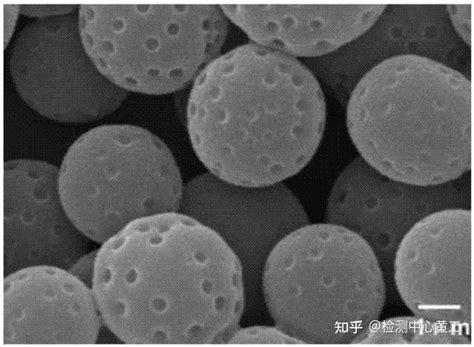 科普磁性高分子材料 知乎