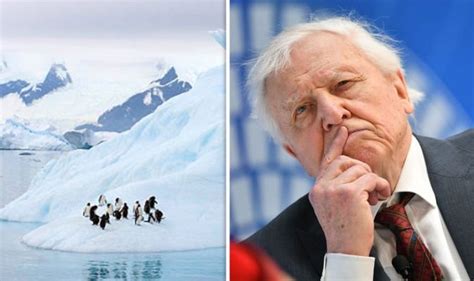 David Attenborough Makes Shocking Antarctica Discovery During Bbc Seven