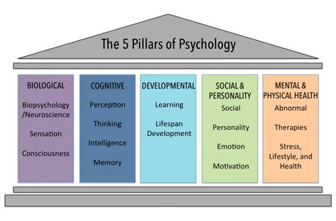 8 Basic Psychology Facts You Need to Know – Hello Psychaleppo