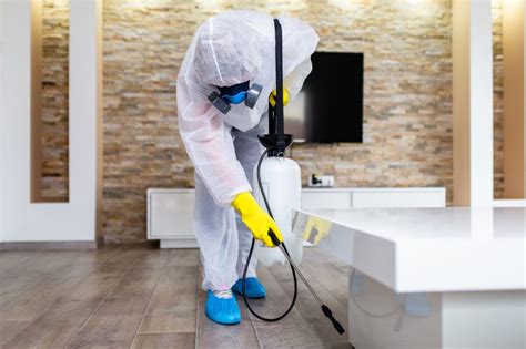 Professional Disinfection & Cleaning Services - Scentral Cleaning