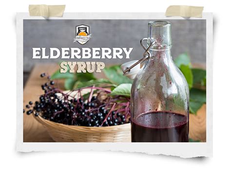 Nutrient Rich Elderberry Syrup A Flavorful Beginners Recipe