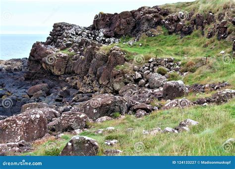 The Giant`s Causeway in Northern Ireland Stock Image - Image of nature ...