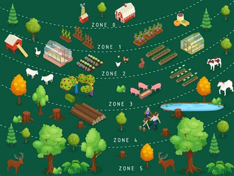 Exploring Zones In Permaculture Design Permaculture Plants