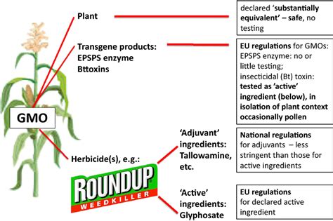 Reductionism In The Environmental Risk Assessment Of GM Crops E G HT