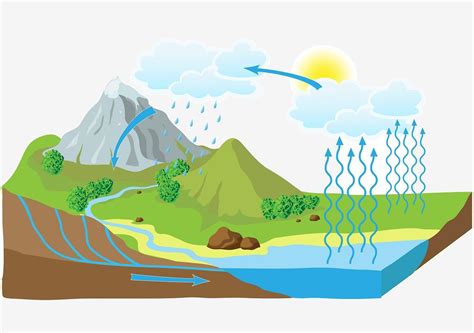 El Ciclo Del Agua No Es Tan Simple Como Lo Aprendimos En La Escuela