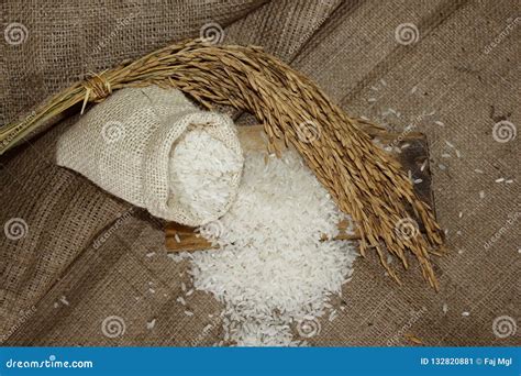 Arroz Blanco Granos Del Arroz En La Arpillera Imagen De Archivo