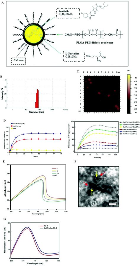 Dual Photothermal Mdscs Targeted Immunotherapy Inhibits Lung