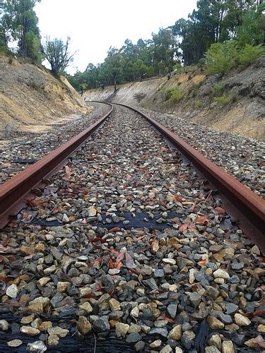 Disused Railway Cutting Inthebush Flickr