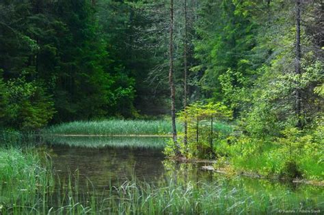 Restauraci N De La Naturaleza Mejorar La Protecci N De Los H Bitats En