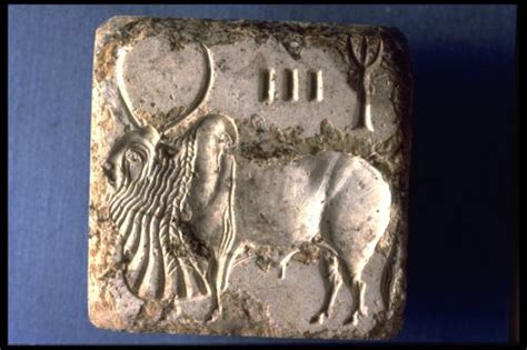 Archeology of Indus Civilization Script and Seals