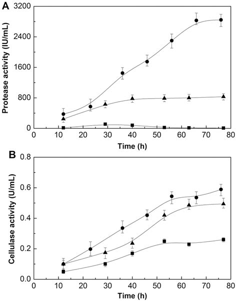 Time Courses Of Protease And Cellulase Concentrations With Different