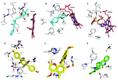 Predicted Binding Modes Of Compounds 3 And 15 A B Respectively