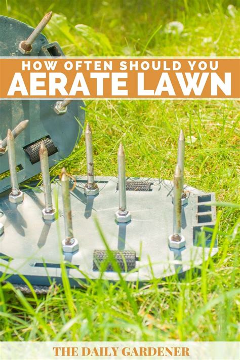 How Often Should You Aerate Your Lawn?