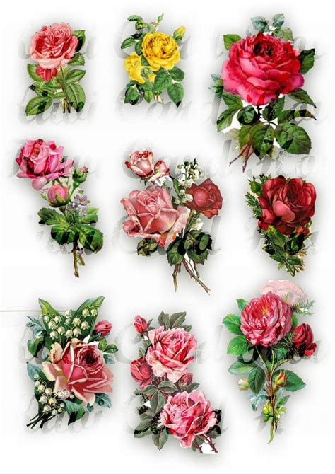 Fussy Cut Vintage Roses Cut Outs Printable Flowers Floral Collage