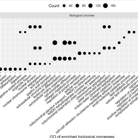 Gene Ontology Go Of The Top 5 Biological Processes For The Three Download Scientific Diagram