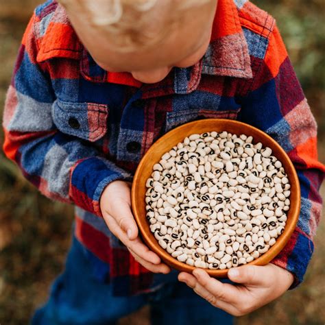 California Blackeye No 5 Cowpea Black Eyed Pea Southern Pea Thresh Seed Co