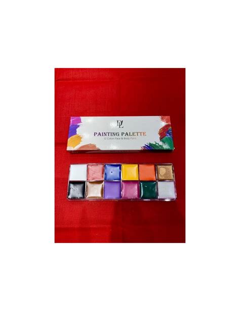 Delanci Makeup Painting Palette 12 Colors