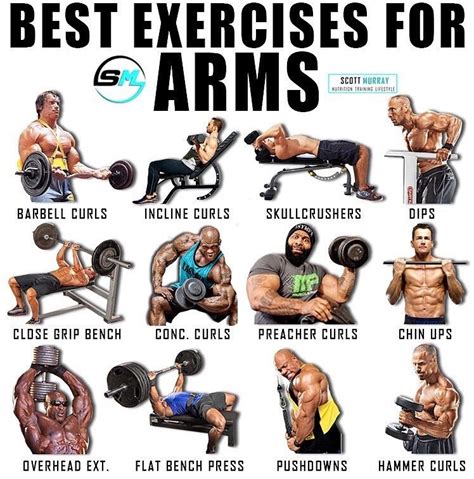 Pin By Hiker270 On Bicep Training Good Arm Workouts Arm Workout