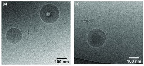 Cryo-TEM images of the formed self-assemblies: (A) AzaEPA, (B) AzaDHA. | Download Scientific Diagram