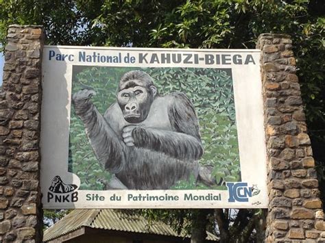 Kahuzi biega National park - Congo Gorilla Trekking Safaris