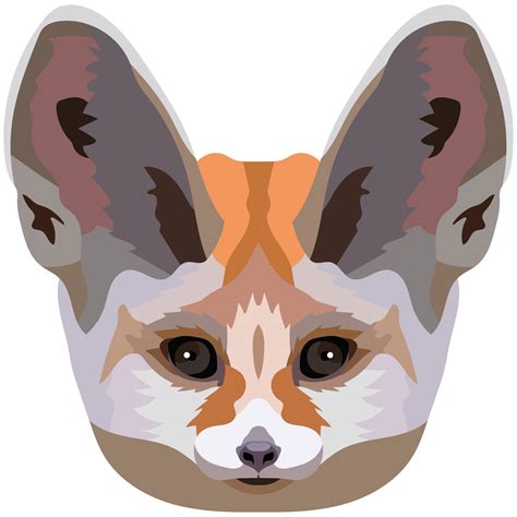 Fennec Face An Illustration Of The Muzzle Of A Small Eared Fox Is