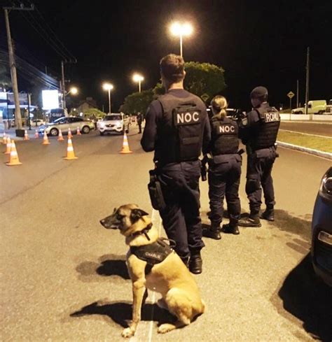 Guarda Municipal Autua Motoristas Durante Blitz Da Lei Seca Em