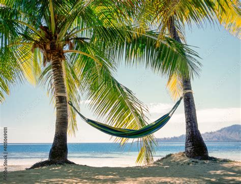 Hammock Tied Between Two Palm Trees On Tropical Beach In Fiji Stock