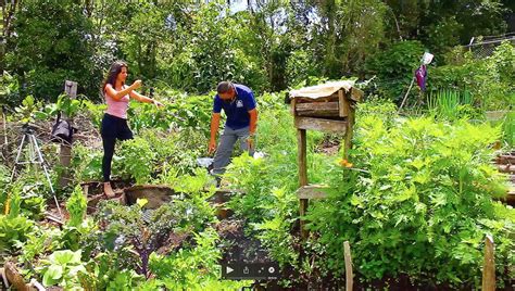 Se Busca Matrimonio Interno Para Cuidado De Finca Euros Por Cada