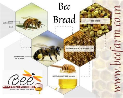 Bee Bread - Bee Super foods - Beefarm.co.in - ‘Food of the Gods’