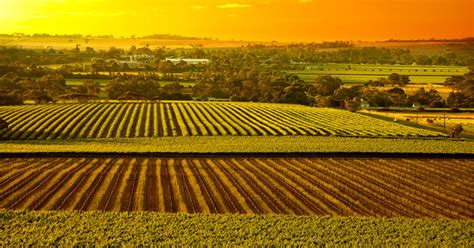 Optimizing Crop Production: The Crucial Role of Diesel Generators in ...