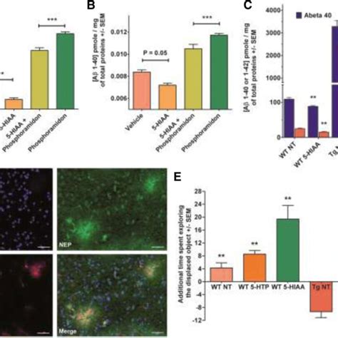 Role Of Hiaa Precursors On Nep Protein Expression A Tryptophan Is