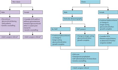 Comprehensive Overview Of Congenital Adrenal Hyperplasia 52 Off