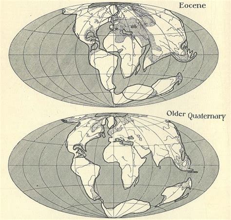 Alfred Wegener Theory Of Plate Tectonics Lifestyledrop