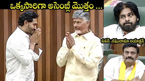 YS Jagan Greets Chandrababu At AP Assembly Session 2024 Pawan Kalyan